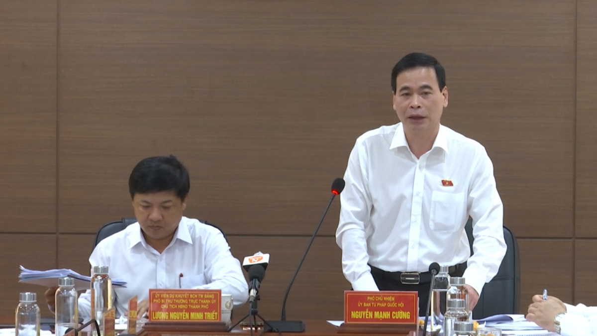 Phó Chủ nhiệm Ủy ban Tư pháp của Quốc hội Nguyễn Mạnh Cường.