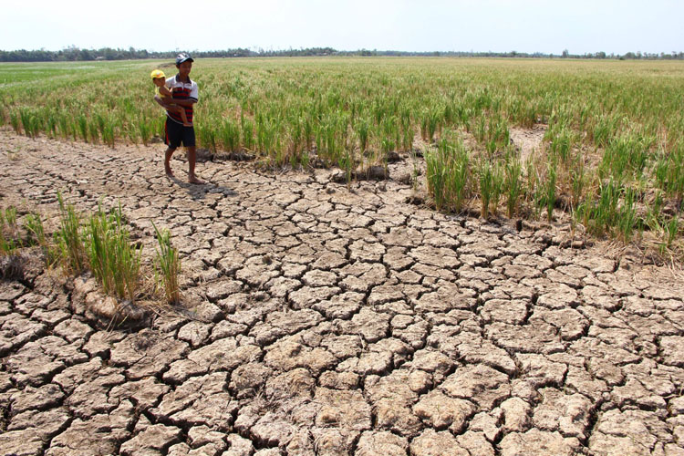 Người dân đồng bằng sông Cửu Long đang có nguy cơ phải đối mặt với hạn hạn và xâm nhập mặn trong mùa khô 2019 -2020.