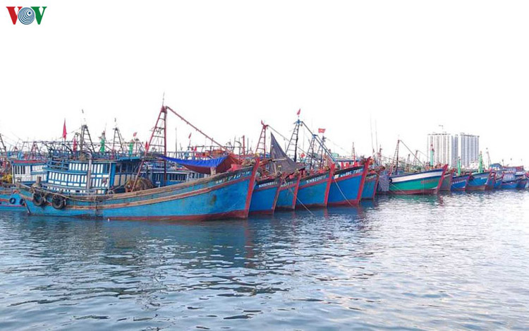 Đội tàu cá của ngư dân Khánh Hòa không ngừng được nâng cấp, hiện đại hóa.