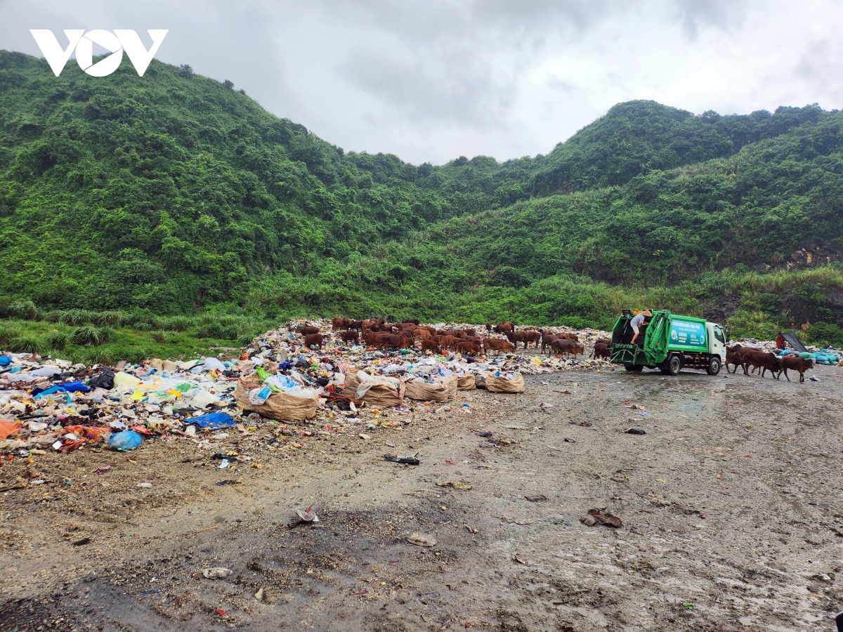 Nhà máy hiện đang tiếp nhận xử lý, chôn lấp rác cho 8/8 huyện, thành phố trong tỉnh với lượng rác thải đổ về đây mỗi ngày khoảng 400 tấn.