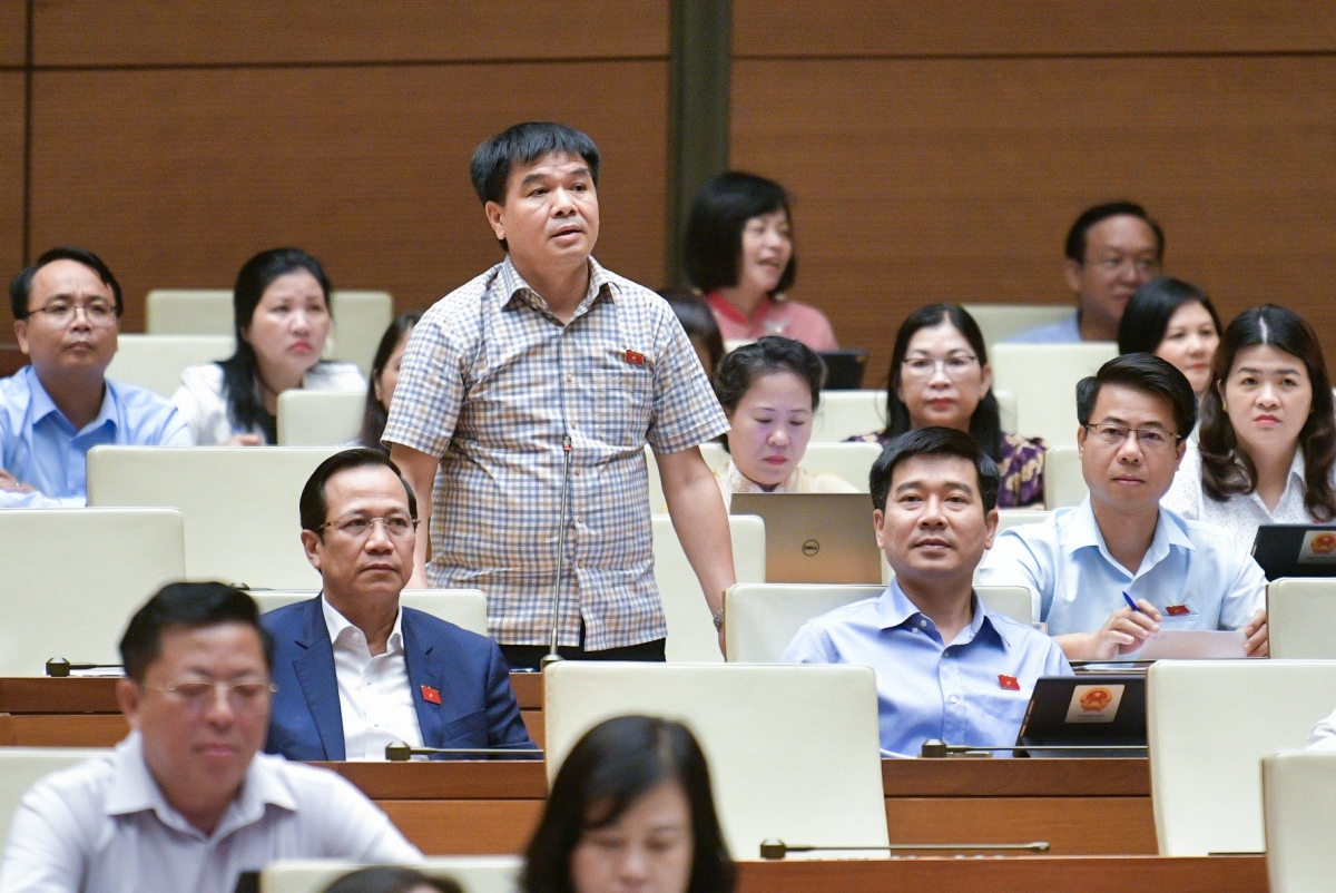 Đại biểu Nguyễn Hữu Toàn tranh luận trên hội trường.