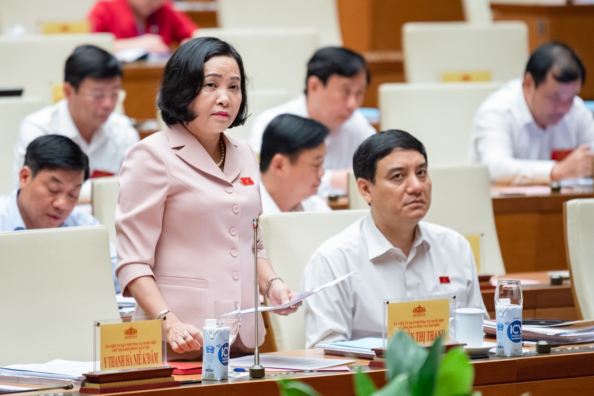Bà Nguyễn Thị Thanh báo cáo tại hội nghị.
