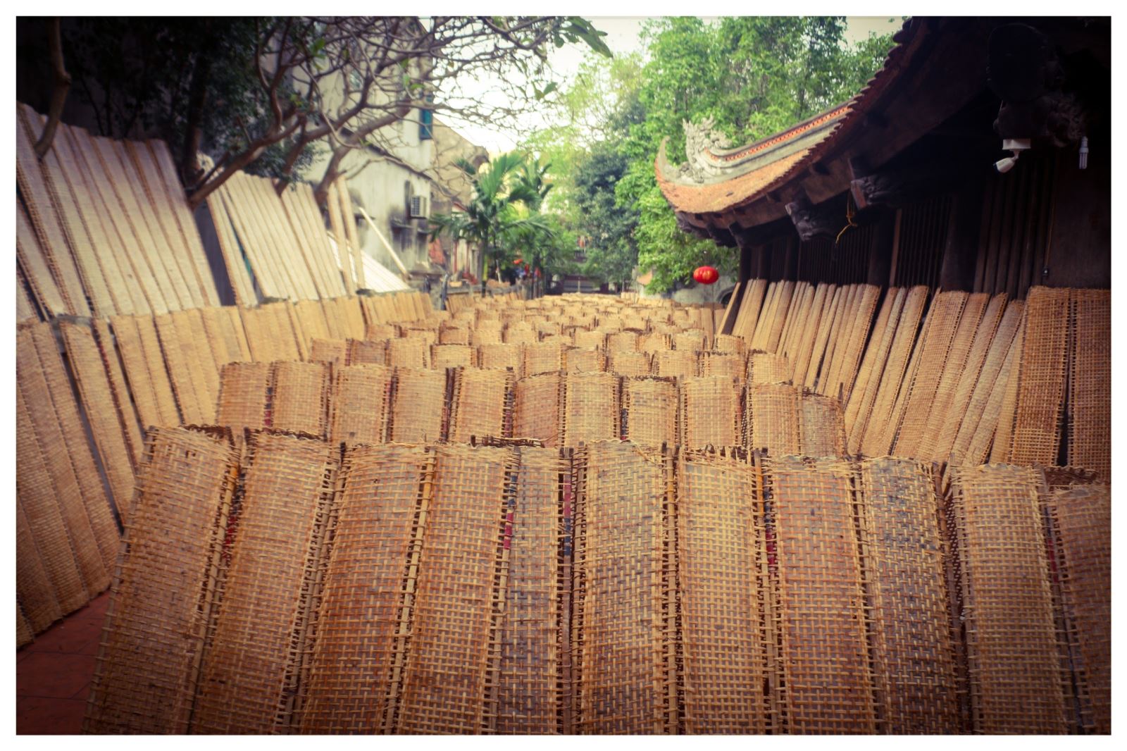 Cây đa, mái đình tạo nên nét đẹp hồn cốt của làng quê Việt.