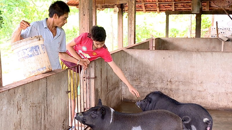 Mô hình vườn, ao, chuồng của gia đình anh Phạm Đức Chín ở tiểu khu 2, xã Chiềng Sơn, huyện Mộc Châu đang là hướng đi đúng cho nhiều người lầm lỡ vươn lên thoát nghèo.