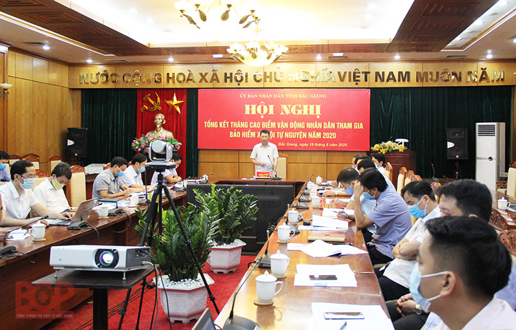 Phó Chủ tịch UBND tỉnh Lê Ánh Dương phát biểu kết luận hội nghị.