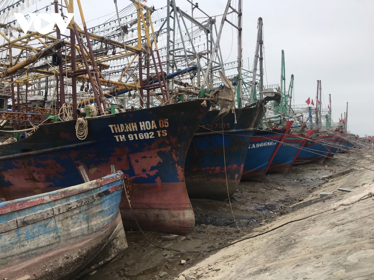 Những con tàu công suất lớn đã “nghỉ ngơi” tại cảng suốt 2 tháng qua ở khu vực cảng cá xã Tiến Thủy.