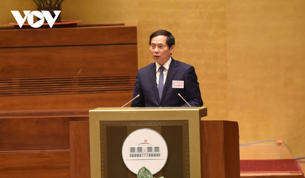 Ủy viên Trung ương Đảng, Bộ trưởng Bộ Ngoại giao Bùi Thanh Sơn trình bày tham luận tại Hội nghị.
