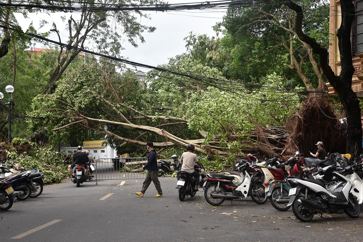 Cây xanh gãy đổ ngổn ngang trên phố Hà Nội sau bão Yagi.