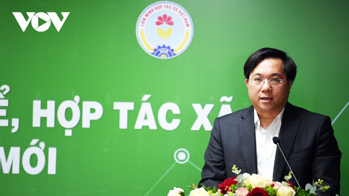 Thứ trưởng Bộ KH&ĐT Trần Duy Đông nhận thấy pháp luật về HTX còn chưa phù hợp với thực tiễn, chậm chuyển đổi về cơ chế, chính sách ưu đãi chưa đủ mạnh. Ảnh: Quang Trung.