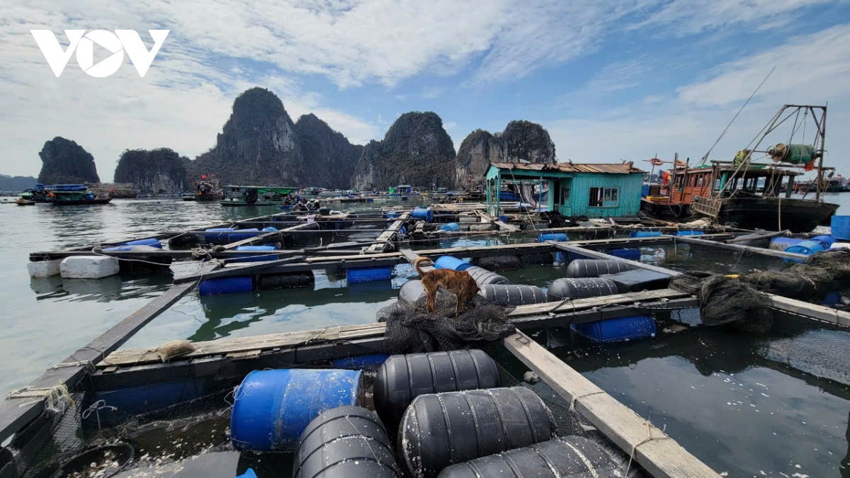 Những chiếc bè tan hoang của người dân sau siêu bão Yagi.