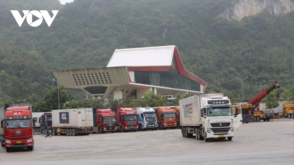 Xe chở nông sản ùn ứ tại các cửa khẩu ở Lạng Sơn.