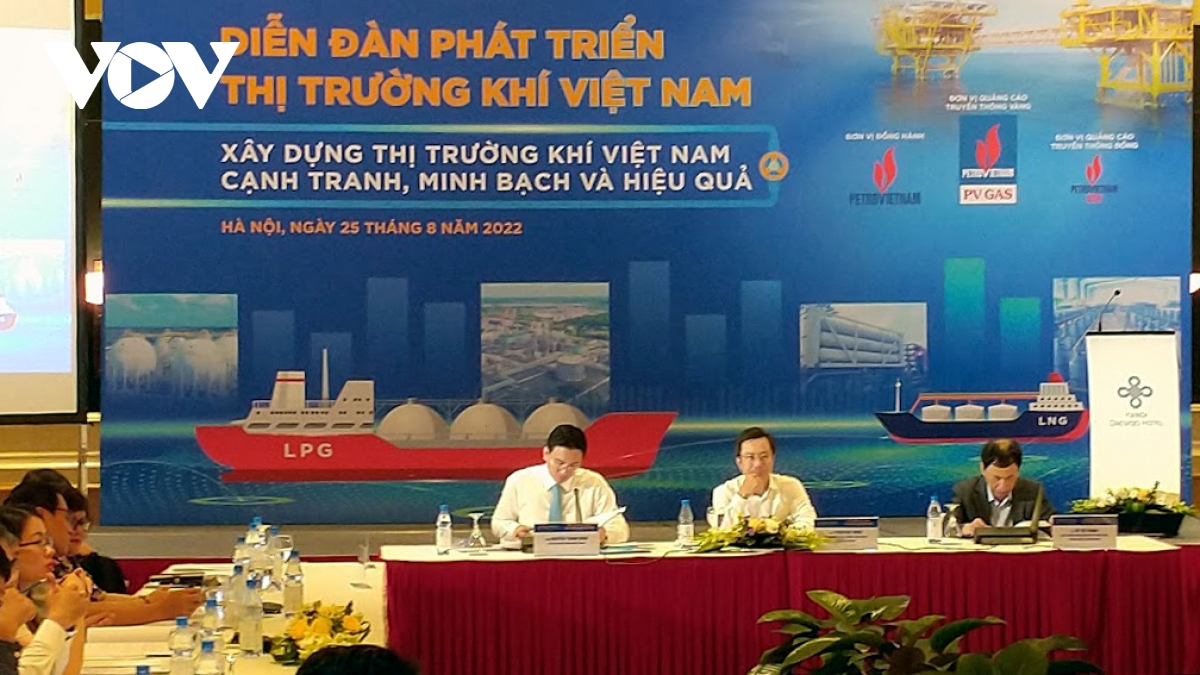 Các diễn giả cho rằng, còn nhiều trở ngại co tiến trình phát triển thị trường khí tại Việt Nam.