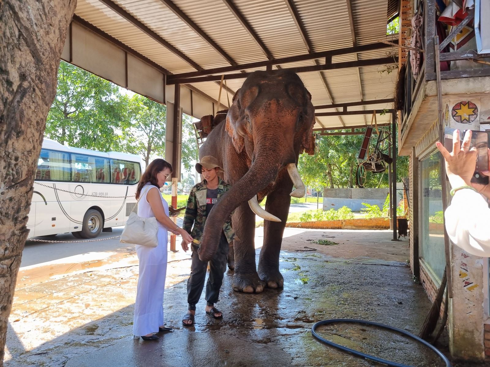 Gắn bó thời gian dài nên mỗi nài voi hiểu khá rõ bản tính mỗi voi mà mình quản lý, sở hữu.