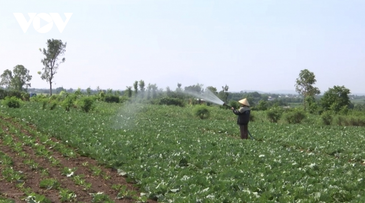 Trên địa bàn tỉnh Đồng Nai, nhiều hộ dân có diện tích đất nông nghiệp lớn.