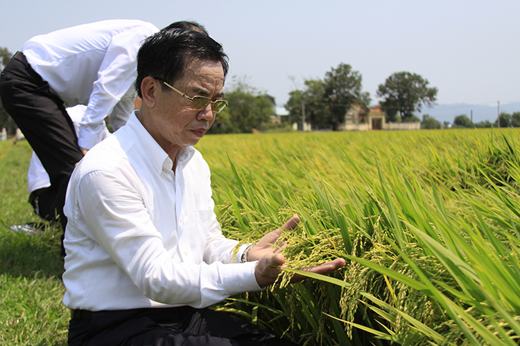 Với tài năng của mình, doanh nhân Trần Mạnh Báo đã đưa ThaiBinh Seed trở thành 1 trong 500 doanh nghiệp trong nước có tốc độ phát triển nhanh nhất.