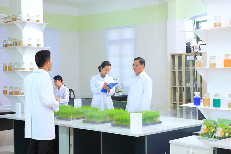 Doanh nhân Trần Mạnh Báo là tác giả của nhiều giống lúa được khảo nghiệm và công nhận là giống Quốc gia.