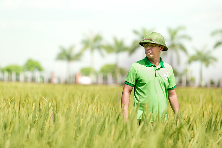 Doanh nhân Trần Mạnh Báo - chuyên gia hàng đầu về giống lúa.