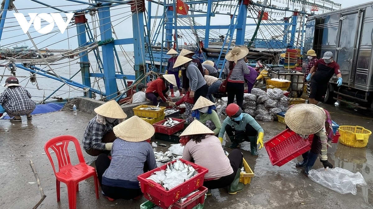 Yêu cầu tăng cường kiểm tra, kiểm soát, xử lý vi phạm đối với tàu cá vi phạm khai thác IUU tại các cảng cá. (ảnh: Lưu Sơn)